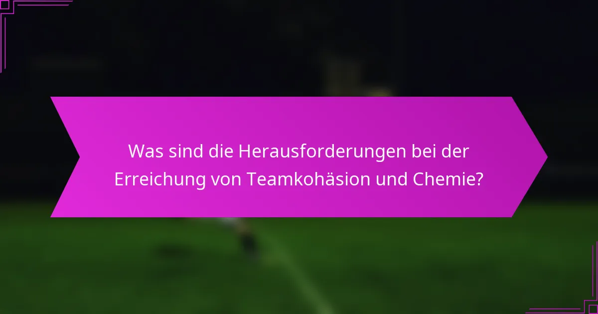 Was sind die Herausforderungen bei der Erreichung von Teamkohäsion und Chemie?